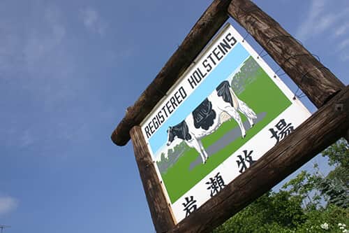 多くの賞を受賞している人気の老舗、北海道岩瀬牧場